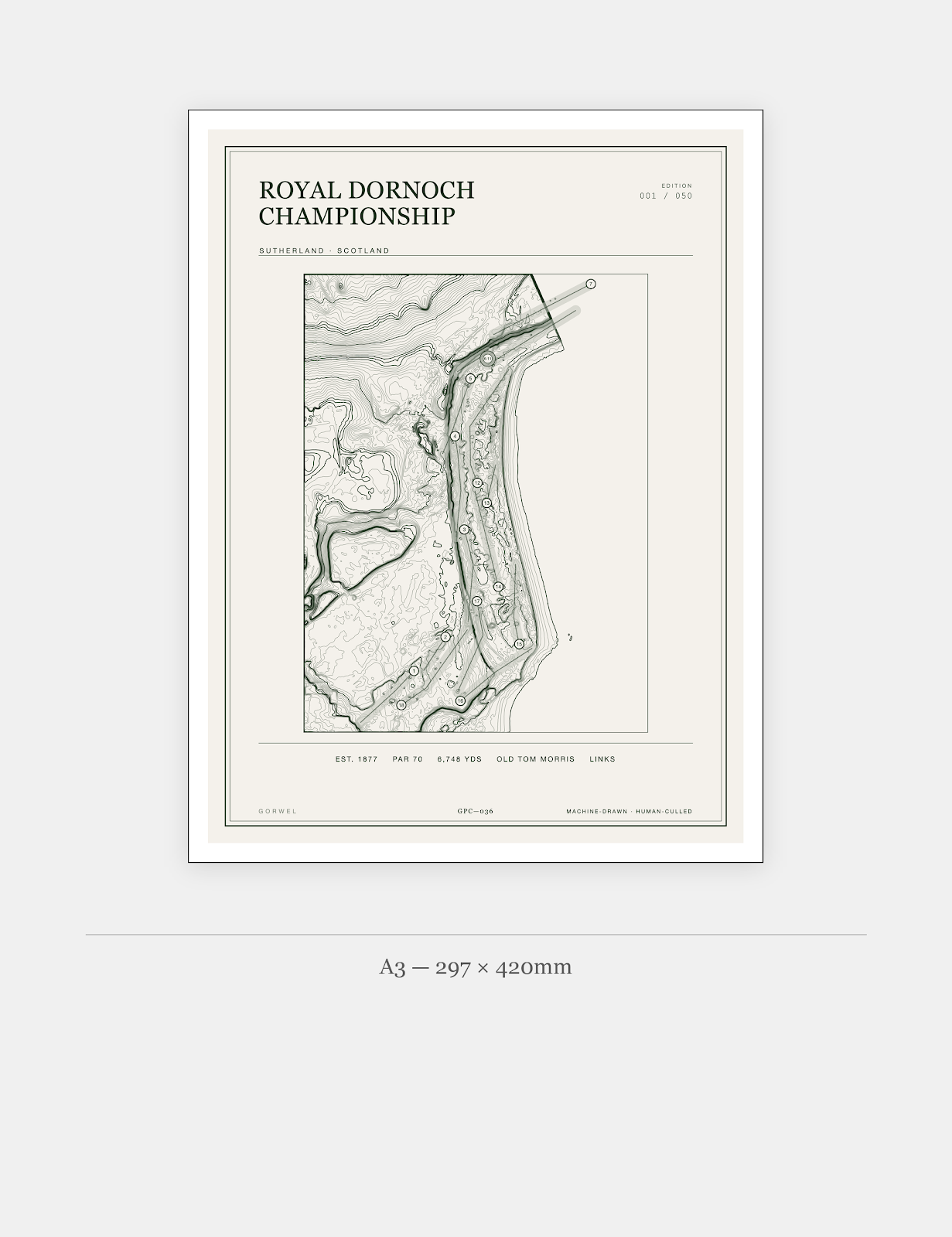 Royal Dornoch Championship Golf Course Print | Topographic Map Wall Art