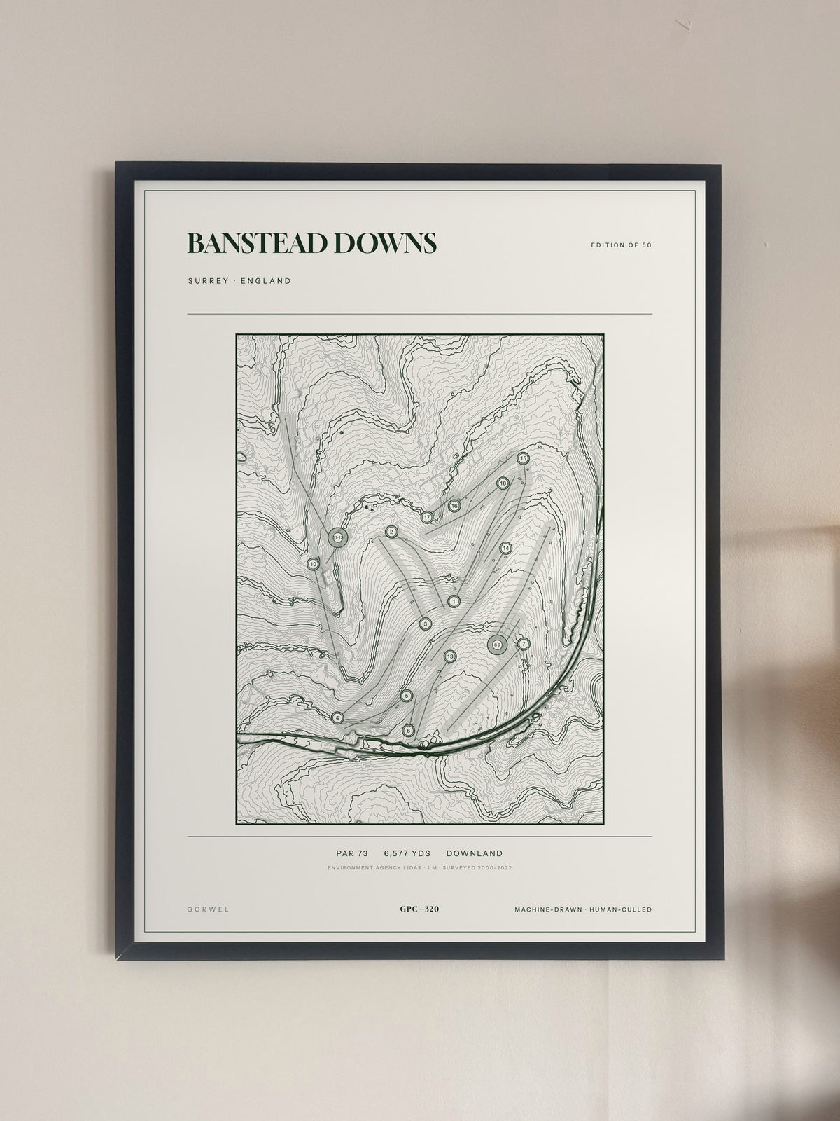 Banstead Downs, Surrey print, framed, on a wall
