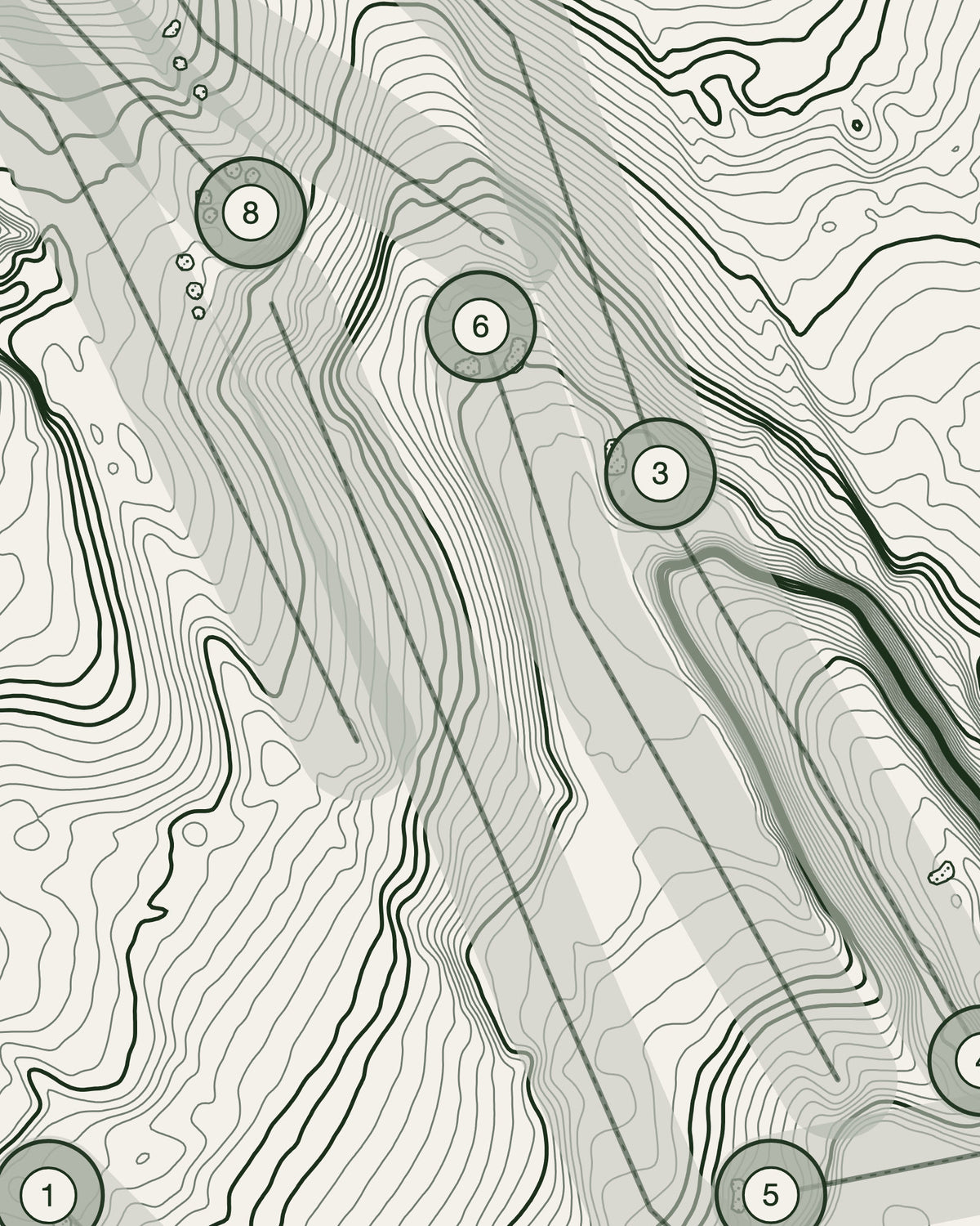 Crow Nest Park, Yorkshire print, contour detail