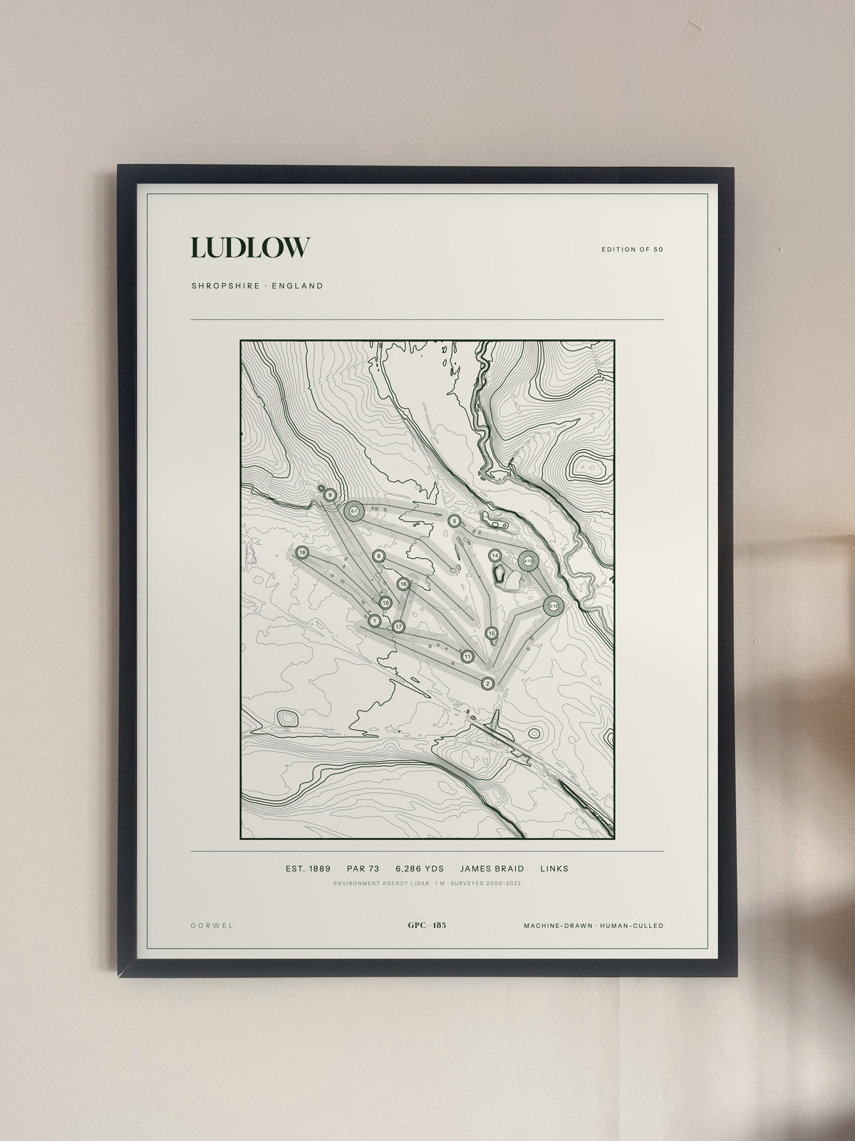 Ludlow, Shropshire print, framed, on a wall