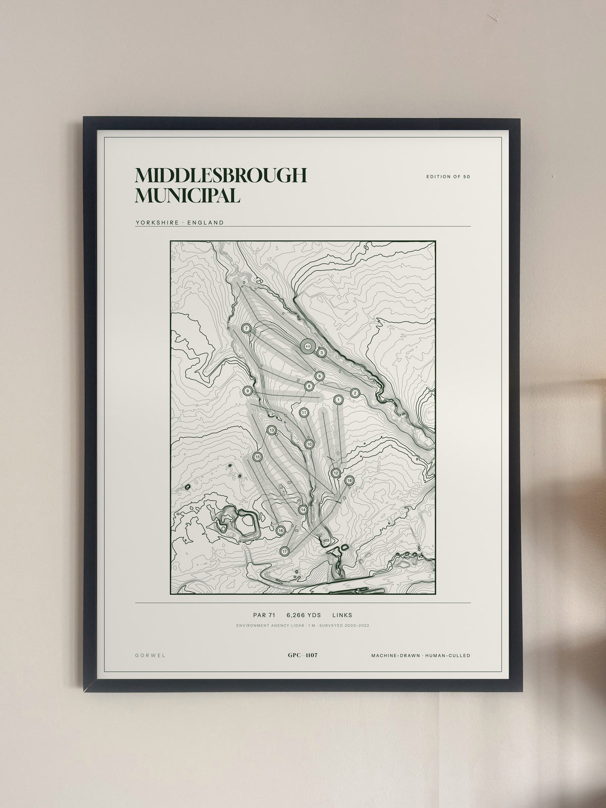 Middlesbrough Municipal, Yorkshire print, framed, on a wall