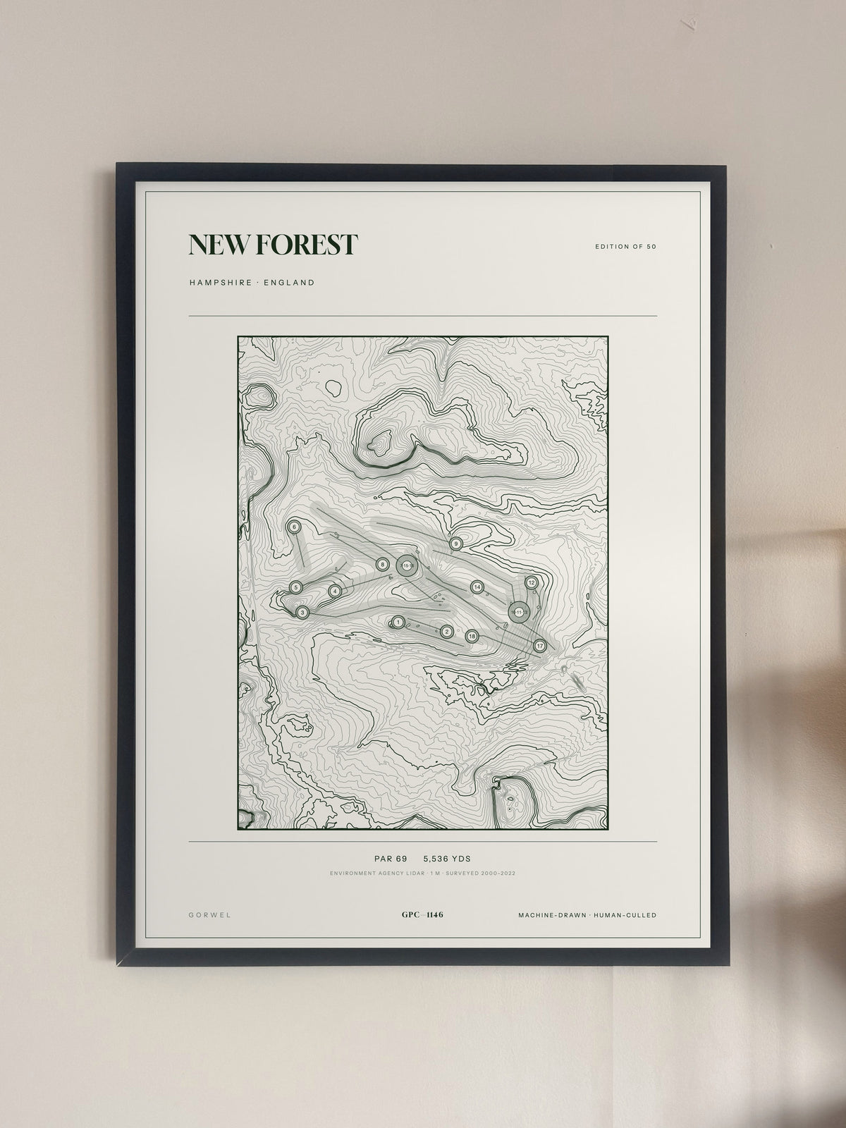 New Forest, Hampshire print, framed, on a wall