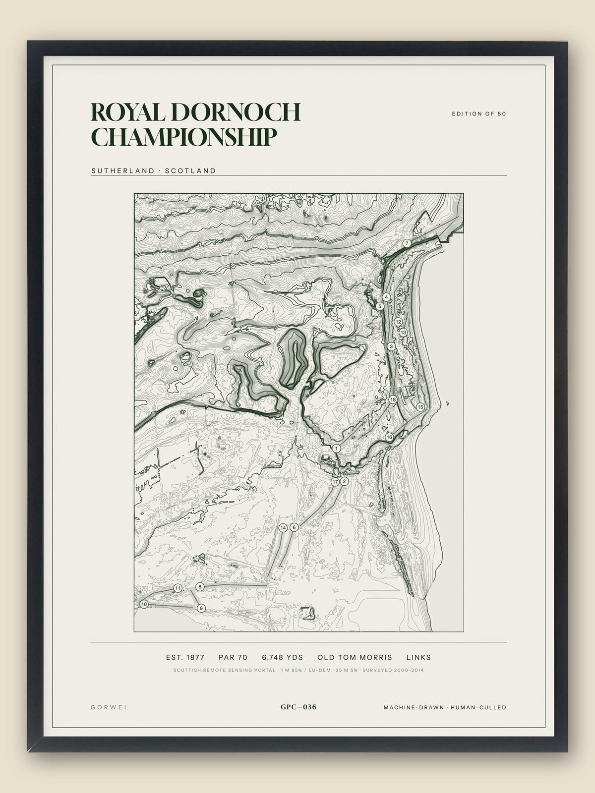 Royal Dornoch Championship topographic golf course print — catalogue plate — Gorwel Print Co