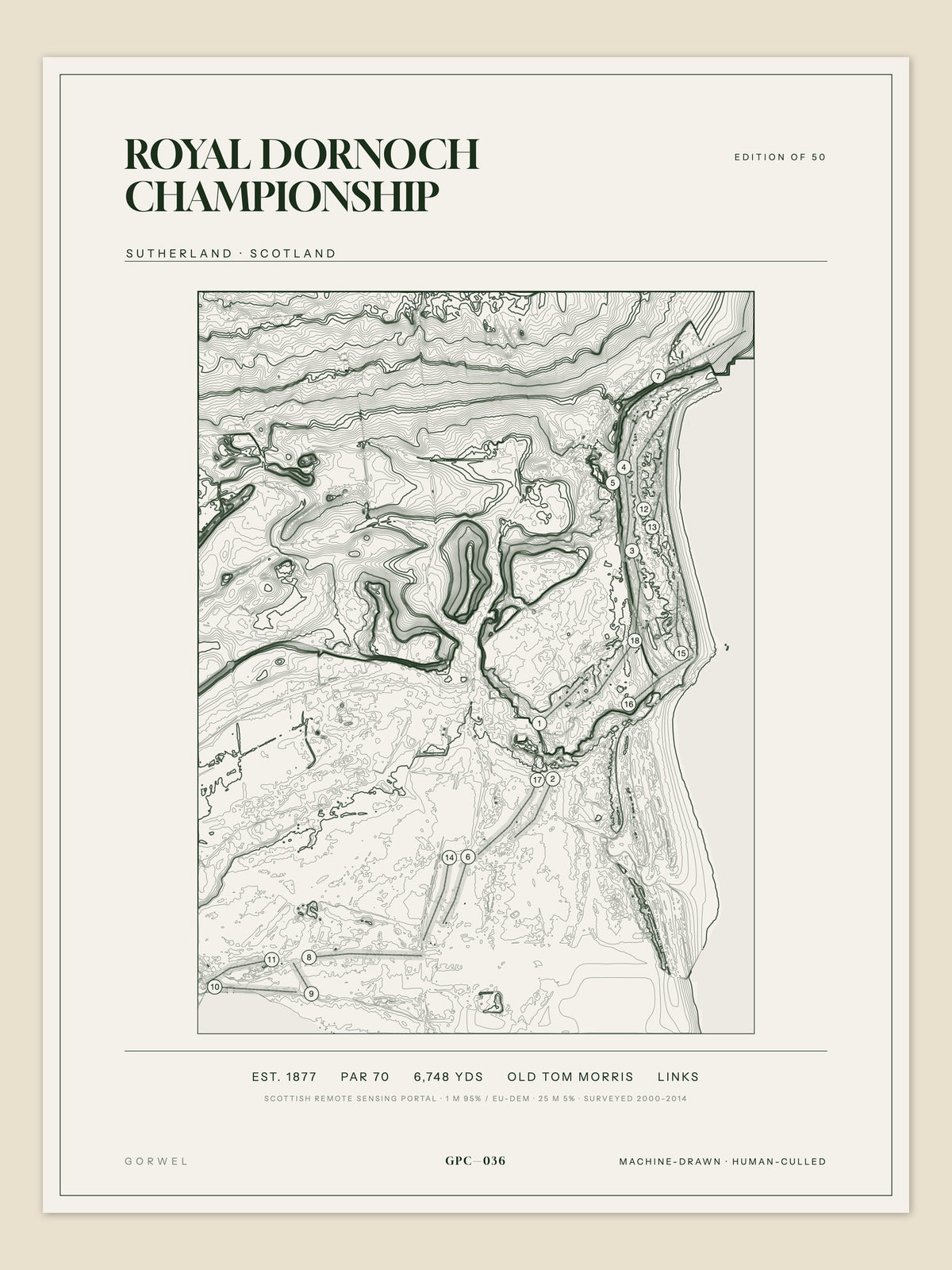 Royal Dornoch Championship topographic golf course print — unframed sheet — Gorwel Print Co