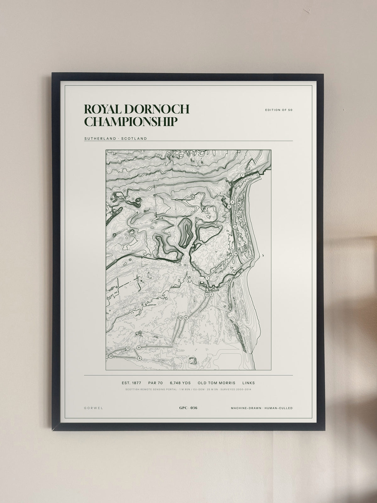 Royal Dornoch Championship topographic golf course print — framed on a wall — Gorwel Print Co