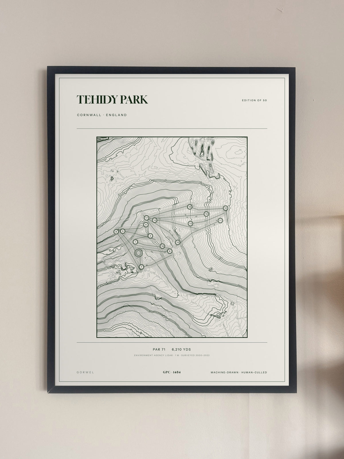 Tehidy Park, Cornwall print, framed, on a wall